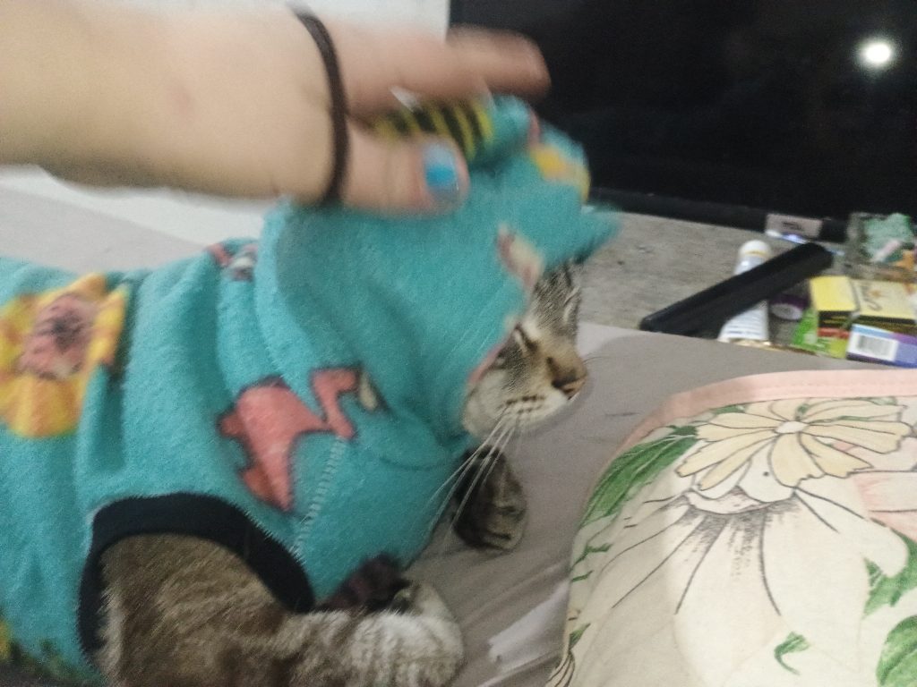 Cuidado com animal