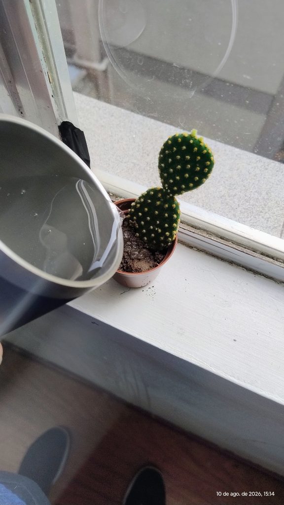 Plantio