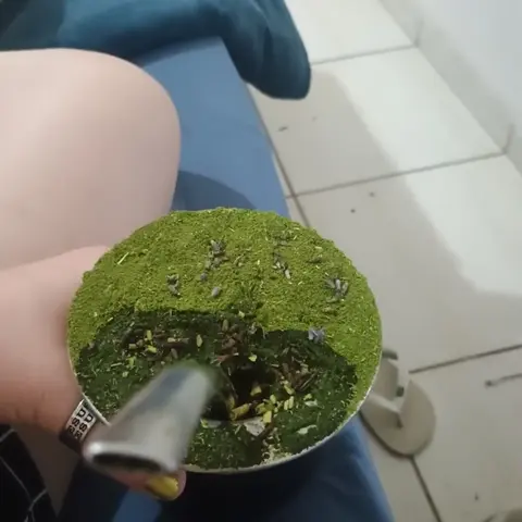 Plantio